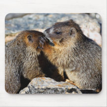 Marmot Tapis De Souris