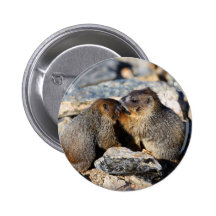 marmotte badges