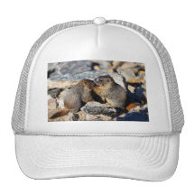 marmotte casquette de camionneur
