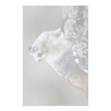marmotte motifs pour papier à lettre