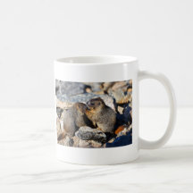 marmotte mug à café