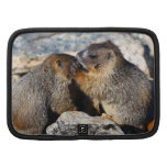 Marmottes de bébé agendas