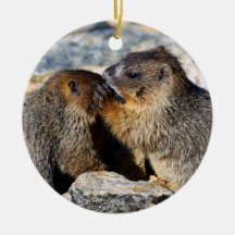 marmottes de bébé décoration pour sapin de noël