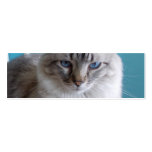 Marque-page avec des chats cartes de visite
