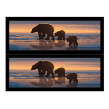 Marqueurs de livre de famille d'ours blanc carte postale