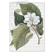 Marquez le collage de magnolia de Catesby avec l'e Carte De Vœux
