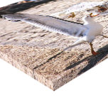 Marseille, Mouettes impressions sur toile