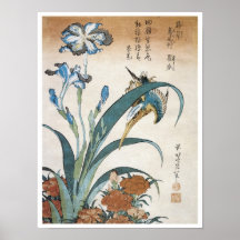 Martin-pêcheur avec des iris, Hokusai, 1834 Posters