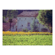 MAS jaune de Provencal près de Carpentras dans le  Invitation Personnalisable