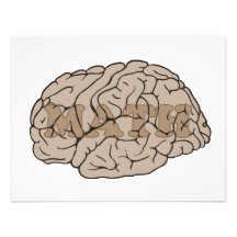 Maths sur le cerveau faire-parts