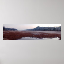 Matin givré sur la rivière Cimarron Posters
