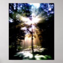 Matin Sun posters