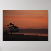 Matins roses poster