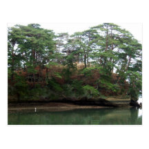 Matsushima Cartes Postales