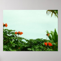 Maui Posters