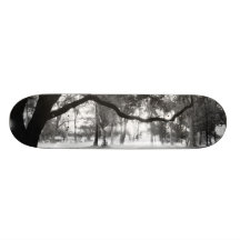 MeddockPhoto_Skateboard_Art