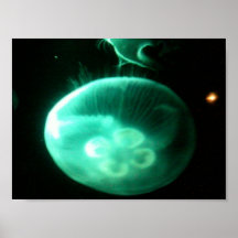 Méduses Affiches