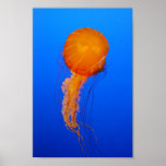 Méduses Posters