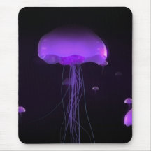 méduses tapis de souris
