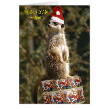 Meerkat, petite carte de l'aide de Père Noël