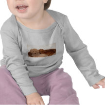 Meilleur budy t-shirt