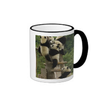 Melanoleuca d'Ailuropoda de bébés de panda géant) Tasse À Café