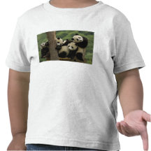Melanoleuca d'Ailuropoda de bébés de panda géant)  T-shirt