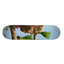 Mélèze fleurissant plateau de skateboard