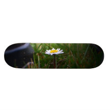 Meme voit careful not to step on Skate Planches À Roulettes Customisées