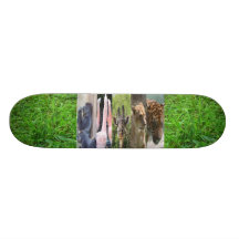 Ménagerie Skateboards Cutomisables