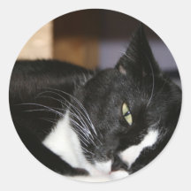 mensonge noir et blanc de chat de smoking vers le  autocollant rond