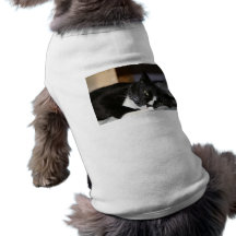 mensonge noir et blanc de chat de smoking vers le  tee-shirts pour animaux domestiques
