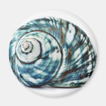 Mer bleue Shell sur l'arrière - plan blanc Aimants