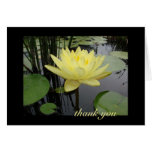 Merci - beau nénuphar carte de vœux