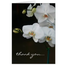 Merci blanc d'orchidées cartes de vœux