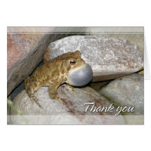 Merci de grenouille d'étang carte de vœux