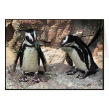 Merci de pingouins carte de vœux