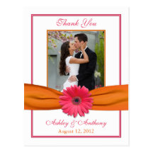 Merci orange de mariage de ruban de marguerite ros cartes postales