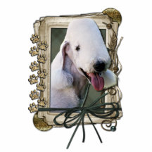 Merci - pattes en pierre - Bedlington Terrier Photo En Découpe