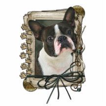 Merci - pattes en pierre - Boston Terrier Photo En Relief