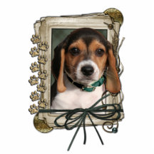 Merci - pattes en pierre - chiot de beagle photo sculptures