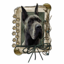 Merci - pattes en pierre - great dane - gris photo en découpe