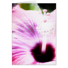 Merci rose de ketmie carte de vœux