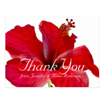 Merci rouge tropical de fleur de ketmie cartes postales