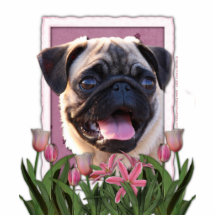 Merci - tulipes roses - carlin photo en relief