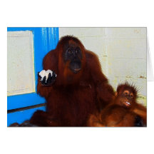 Mère célèbre Akmad d'orang-outan et bébé en Indoné Carte De Vœux