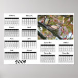 Mère de colibri sur le nid - calendrier 2009 poster