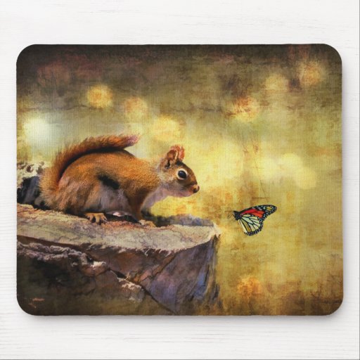 Merveille de région boisée - écureuil et papillon  tapis de souris