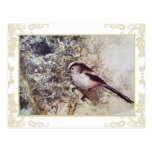 mésange Long-coupée la queue Carte Postale