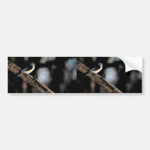 Mésange tuftée autocollant pour voiture